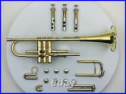 2011 Cannonball 725 Stone Series Pro Bb Trumpet, Raw Brass, NEAR MINT CONDITION