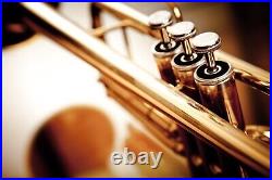 2024 Bb BRASS TRUMPET-NEW STUDNET TO ADVANCED CONCERT INTERMEDIATE BAND TRUMPETS