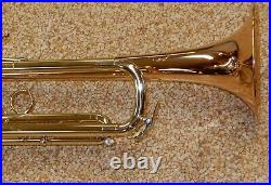 Bach Stradivarius LT190L1B Commercial Bronze Trumpet New, Display Model #719223