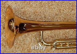 Bach Stradivarius LT190L1B Commercial Bronze Trumpet New, Display Model #719223