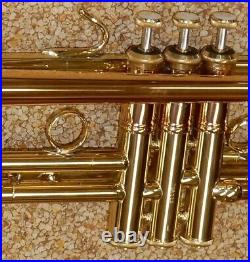 Bach Stradivarius LT190L1B Commercial Bronze Trumpet New, Display Model #719223