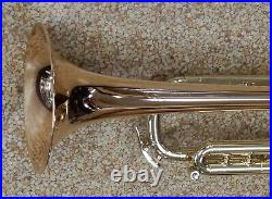 Bach Stradivarius LT190L1B Commercial Bronze Trumpet New, Display Model #719223