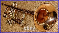 Bach Stradivarius LT190L1B Commercial Bronze Trumpet New, Display Model #719223