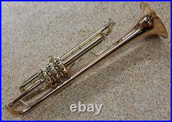 Bach Stradivarius LT190L1B Commercial Bronze Trumpet New, Display Model #719223