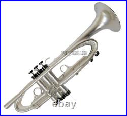 Based on Harrelson trumpet brush silver Professional Horn Leather Case