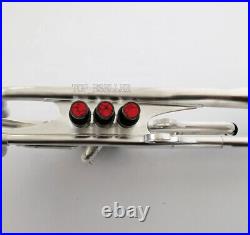 Based on Harrelson trumpet brush silver Professional Horn Leather Case