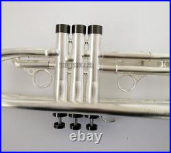 Based on Harrelson trumpet brush silver Professional Horn Leather Case