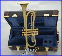 Brand New Customized Professional Trumpet Horn Germany Design Leather Case