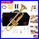 Brass Bb Trumpet with Carrying Case & Gloves Perfect for All Players