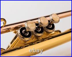 Brass Bb Trumpet with Carrying Case & Gloves Perfect for All Players