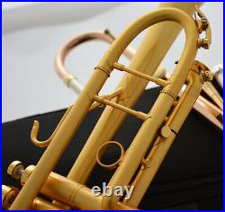 Brushed 24K Gold Trumpet Detachable 2 Bell Double trumpets Case FREE SHIPPING