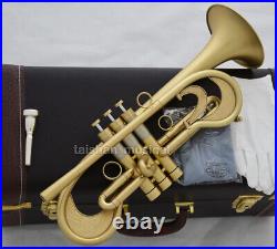 Concert Matt Gold Trumpet Unique Horn By WEIBSTER Musical Bore 0.465'