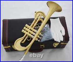 Concert Matt Gold Trumpet Unique Horn By WEIBSTER Musical Bore 0.465'