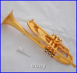 Concert Professional Satin Gold Trumpet Bb Heavy Horn Amado Water key With Case