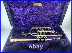 Cornet BUESCHER 400 Model-Restored by C. MELK-with Original Case-COLLECTIBLE