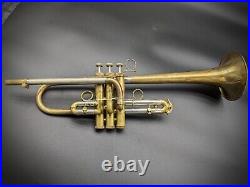 Custom D Trumpet, Blackburn, Shires, Fixed Bell, Tuning Leadpipe, Pro horn, raw