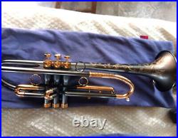 Customized Matt black nickel Trumpet Horn streamline WithCase