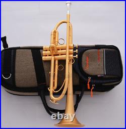 Customized Professional Satin Gold Bb Trumpet Horn Monel Piston Pro. Case