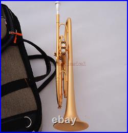 Customized Professional Satin Gold Bb Trumpet Horn Monel Piston Pro. Case