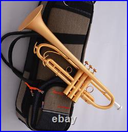 Customized Professional Satin Gold Bb Trumpet Horn Monel Piston Pro. Case