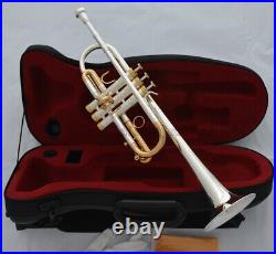 Excellent PRO C Trumpet horn Silver + Gold plated Finish Monel Valve With case