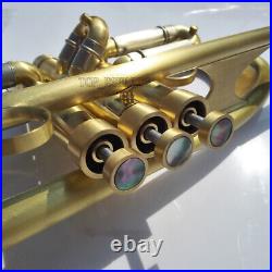 Heavy Brushed Brass Bb Trumpet With Case for professional player