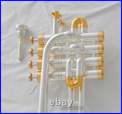 High grade Professional Piccolo Trumpet Bb/A Silver Gold Horn 4 Monel WithCase