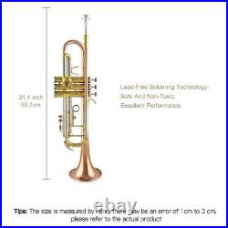 JYTR-M300G Professional Trumpet B-flat Brass High Quality Trumpet Instrument