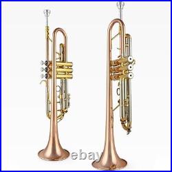 JYTR-M300G Professional Trumpet B-flat Brass High Quality Trumpet Instrument