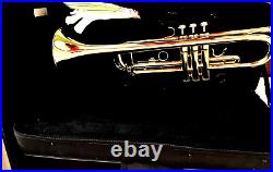 Kaluolin Trumpet TR-8335 Gold Hard Case Professional Performance Trumpet