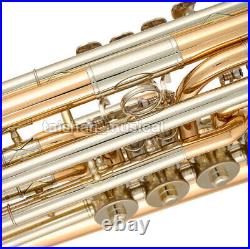 Professional 4 Rotary valves Bass Trumpet Bb horn Gold Brass Bell +Case