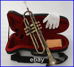 Professional Antique Bronze Trumpet horn Bb Keys With Monel valve Hard Case