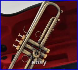 Professional Antique Bronze Trumpet horn Bb Keys With Monel valve Hard Case