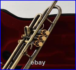 Professional Antique Bronze Trumpet horn Bb Keys With Monel valve Hard Case