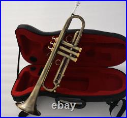 Professional Antique Bronze Trumpet horn Bb Keys With Monel valve Hard Case