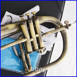 Professional Bb Flugelhorn Antique Horn Monel Valves With 2 Mouth Leather Case