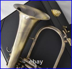 Professional Bb Flugelhorn Antique Horn Monel Valves With 2 Mouth Leather Case