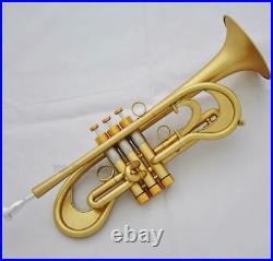 Professional Bb Trumpet Customized Flumpet Horn Matt Finish With Case