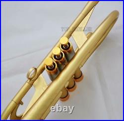 Professional Bb Trumpet Customized Flumpet Horn Matt Finish With Case