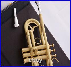 Professional Bb Trumpet Gold Professional Performance Black Protective Case