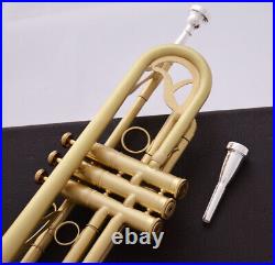 Professional Bb Trumpet Gold Professional Performance Black Protective Case