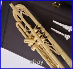 Professional Bb Trumpet Gold Professional Performance Black Protective Case