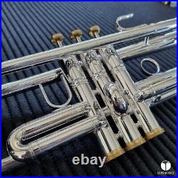 Professional Brass Sound Creation BSC PRO trumpet case GAMONBRASS