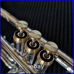 Professional Brass Sound Creation BSC PRO trumpet case GAMONBRASS