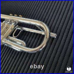 Professional Brass Sound Creation BSC PRO trumpet case GAMONBRASS