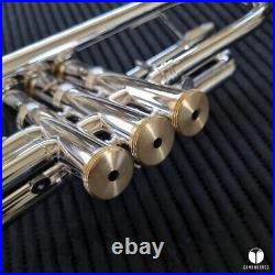 Professional Brass Sound Creation BSC PRO trumpet case GAMONBRASS