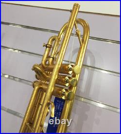 Professional Brushed 24K Gold Trumpet Horn Detachable Bell +Case FREE SHIPPING