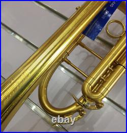 Professional Brushed 24K Gold Trumpet Horn Detachable Bell +Case FREE SHIPPING