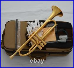 Professional Brushed Gold plated Trumpet Monel Valve Germany brass Bb Keys