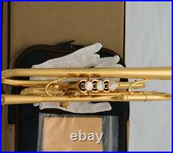 Professional Brushed Gold plated Trumpet Monel Valve Germany brass Bb Keys